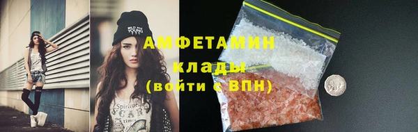 стафф Аркадак
