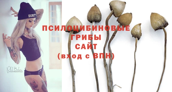 стафф Аркадак