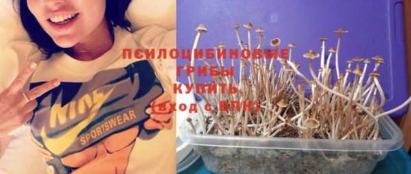 стафф Аркадак