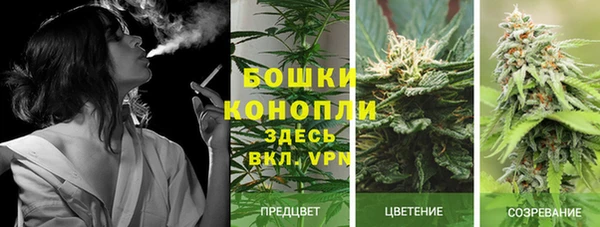 стафф Аркадак