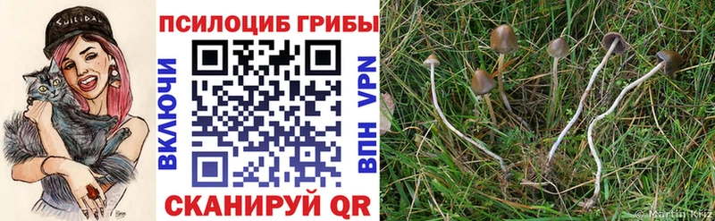 Галлюциногенные грибы GOLDEN TEACHER  Валуйки 